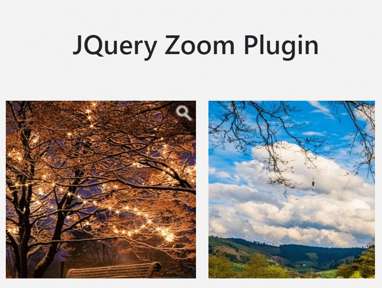 Simple jQuery Zoom Image on Hover — CodeHim